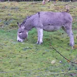 跳至坦克酒店 2* 克松吕-隆日梅