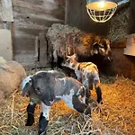 跳至坦克酒店 2*