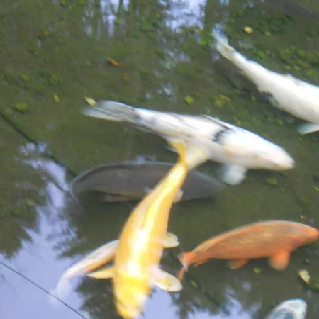Du Saut Des Cuves Hotel 2*