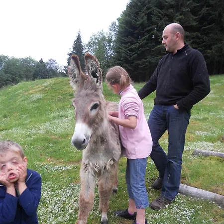 Hotel Du Saut Des Cuves Xonrupt-Longemer