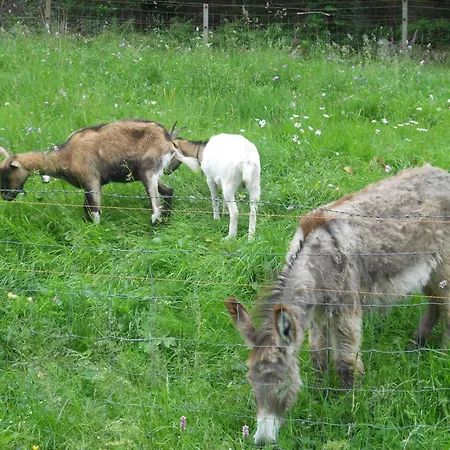 Du Saut Des Cuves Xonrupt-Longemer