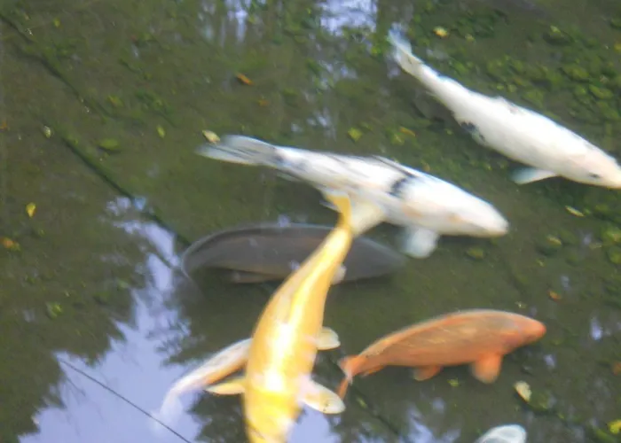 Du Saut Des Cuves Hotel 2*