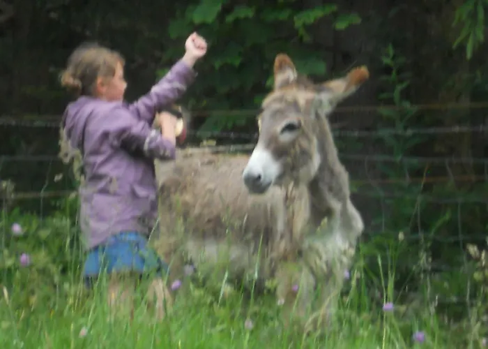 ホテル Du Saut Des Cuves