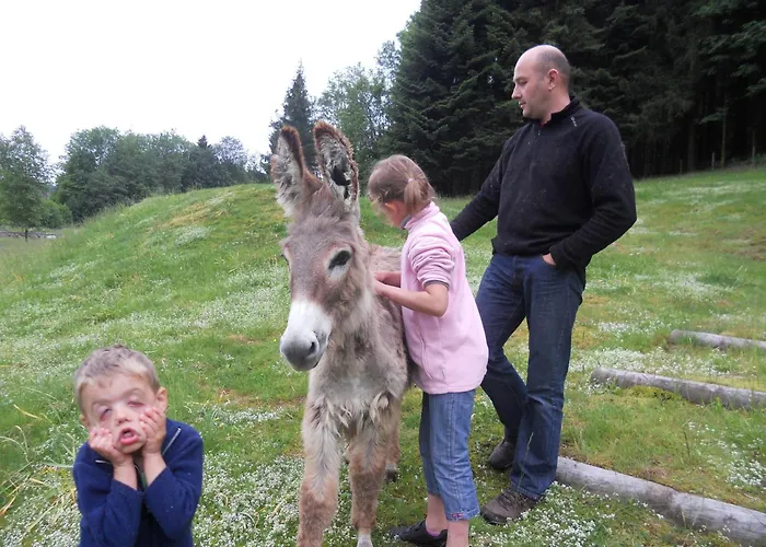 Hotel Du Saut Des Cuves Xonrupt-Longemer