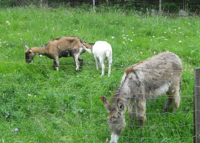 Du Saut Des Cuves Xonrupt-Longemer