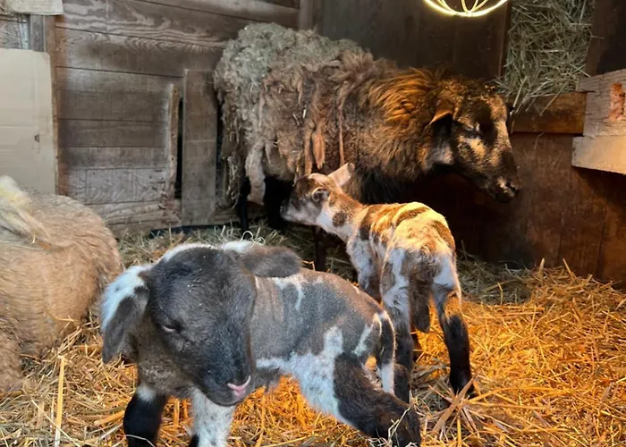 Du Saut Des Cuves 2*