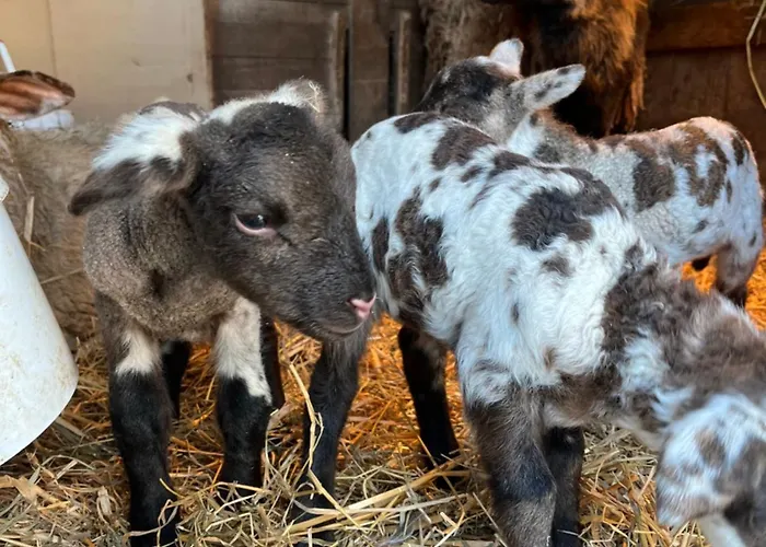 Du Saut Des Cuves Hotel